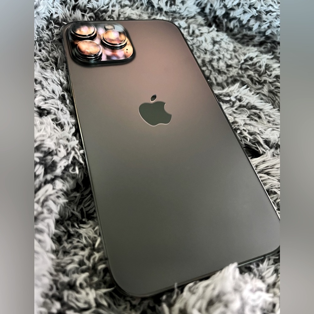 Graphite 256GB iPhone 13 Pro Max **Unlocked**